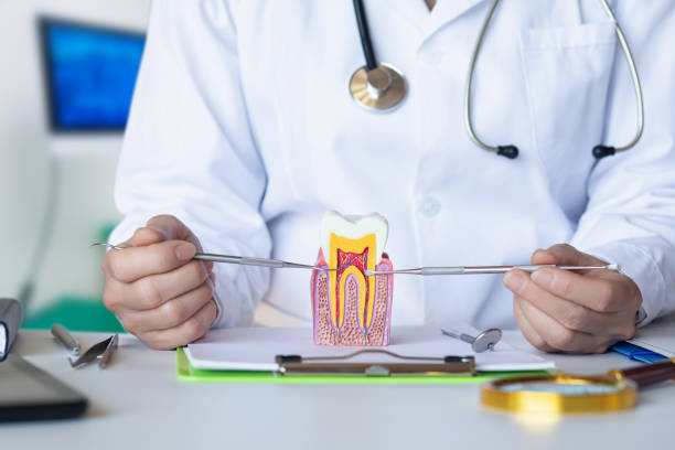 Best Emergency Dental Clinic in ND